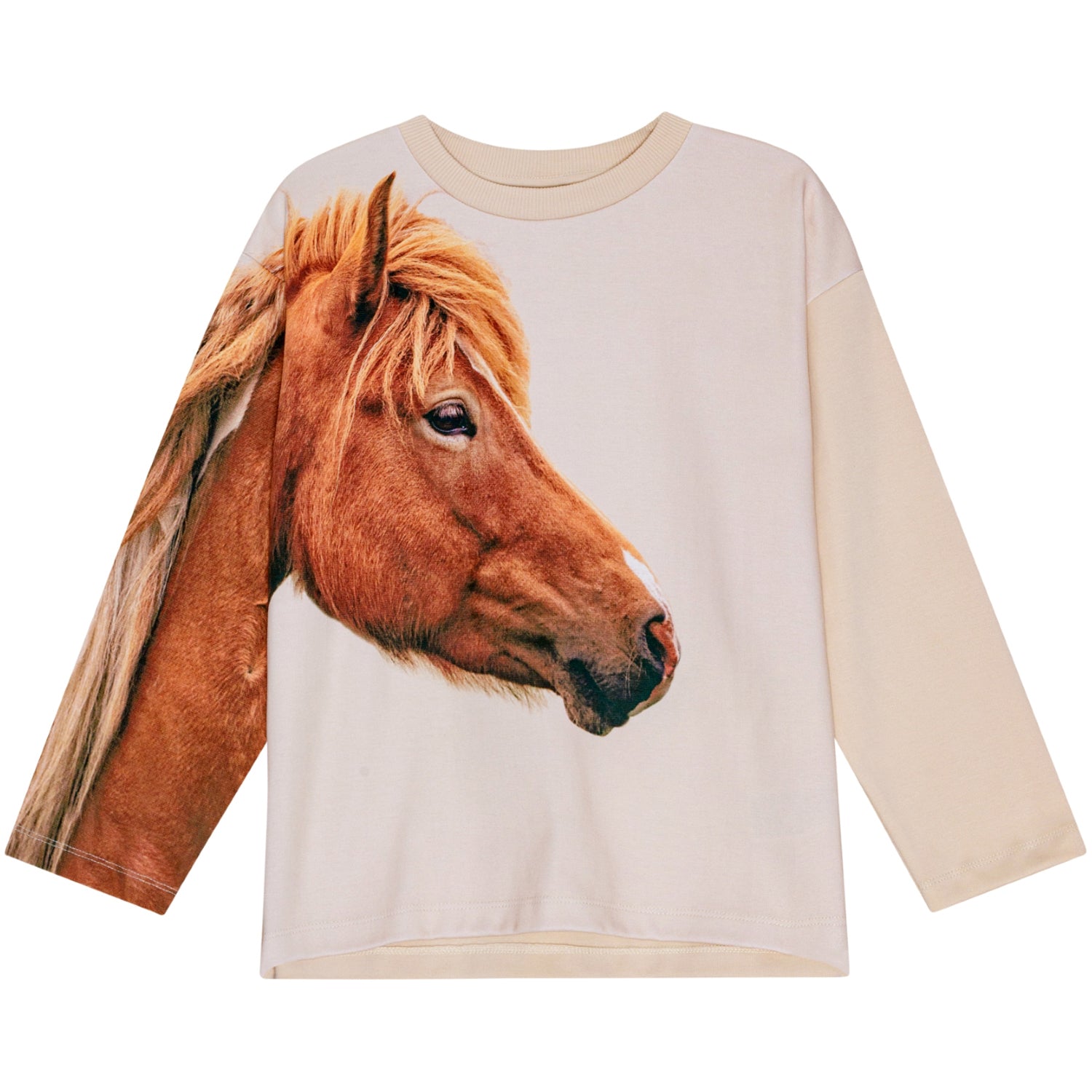 Mountoo Sweatshirt