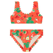 Nolina Bikini